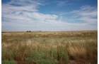 Property photo 63 - LAND AUCTION, 3255+/- Acres offered in 13 Tracts